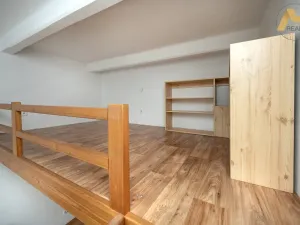 Pronájem bytu 1+kk, Písek - Pražské Předměstí, Pražská, 24 m2