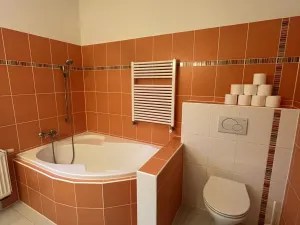 Pronájem bytu 3+kk, Olomouc - Nová Ulice, tř. Svornosti, 89 m2