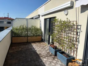 Pronájem bytu 3+kk, Jihlava, Zimní, 120 m2