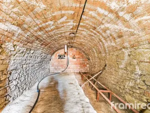 Prodej chalupy, Horní Bojanovice, 70 m2