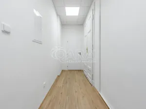 Pronájem kanceláře, Praha - Nové Město, Vodičkova, 31 m2