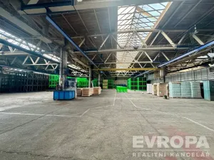 Pronájem výrobních prostor, Plzeň - Skvrňany, Domažlická, 2000 m2