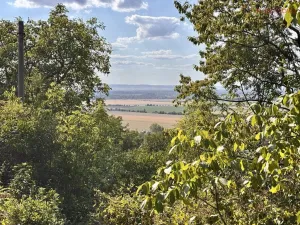 Prodej zahrady, Samotišky, 639 m2