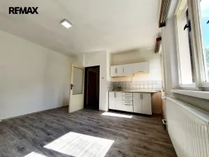 Pronájem bytu 1+kk, Olešnice v Orlických horách, 27 m2
