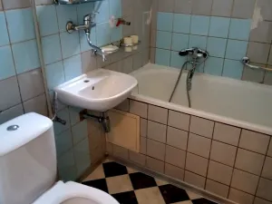Pronájem bytu 1+kk, Olešnice v Orlických horách, 27 m2