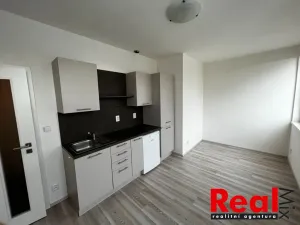 Pronájem bytu 1+kk, Brno - Veveří, Kounicova, 24 m2