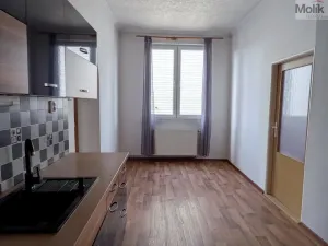 Pronájem bytu 3+1, Košťany, Hornická, 90 m2