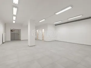 Pronájem obchodního prostoru, Nový Jičín, Masarykovo nám., 470 m2