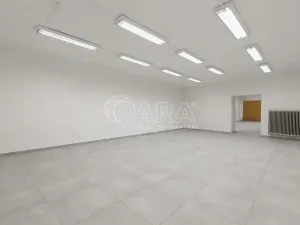 Pronájem obchodního prostoru, Nový Jičín, Masarykovo nám., 470 m2
