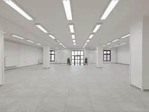 Pronájem obchodního prostoru, Nový Jičín, Masarykovo nám., 470 m2
