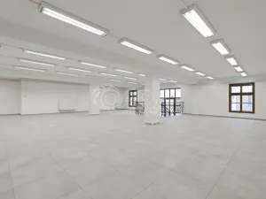 Pronájem obchodního prostoru, Nový Jičín, Masarykovo nám., 470 m2