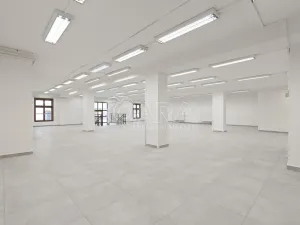 Pronájem obchodního prostoru, Nový Jičín, Masarykovo nám., 470 m2