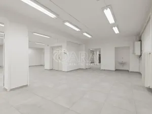 Pronájem obchodního prostoru, Nový Jičín, Masarykovo nám., 470 m2