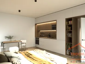 Prodej bytu 1+kk, Hradec Králové, Pod Zámečkem, 30 m2