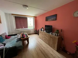 Prodej bytu 2+kk, Most, Josefa Ševčíka, 39 m2