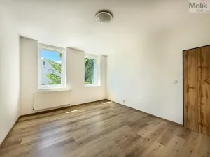 Pronájem bytu 2+1, Háj u Duchcova, Kubátova, 45 m2