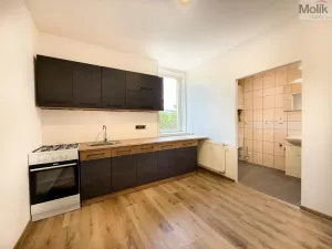 Pronájem bytu 2+1, Háj u Duchcova, Kubátova, 45 m2