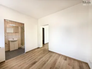 Pronájem bytu 2+1, Háj u Duchcova, Kubátova, 45 m2