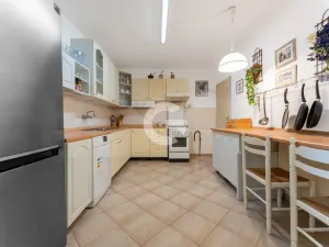 Prodej atypického bytu, Lukoveček, Ohrádky II, 185 m2