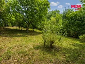 Prodej zahrady, Kostelec nad Orlicí, 989 m2