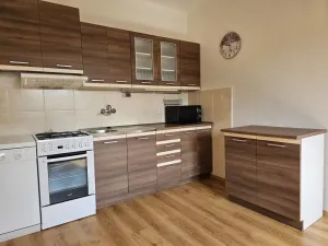 Pronájem bytu 1+1, Plzeň, Lazaretní, 45 m2