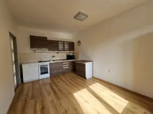 Pronájem bytu 1+1, Plzeň, Lazaretní, 45 m2