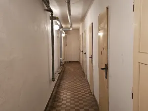 Pronájem bytu 1+1, Plzeň, Lazaretní, 45 m2