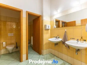 Prodej ubytování, Znojmo, Horní Česká, 1593 m2