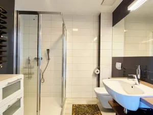 Prodej bytu 2+kk, Dolní Morava, 41 m2