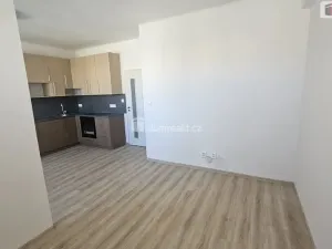 Pronájem bytu 2+kk, Praha - Holešovice, Osadní, 46 m2