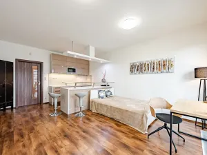 Pronájem bytu 1+kk, Praha - Žižkov, Olšanská, 36 m2