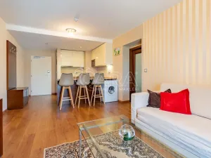 Prodej bytu 2+kk, Plzeň - Jižní Předměstí, U Borského parku, 52 m2