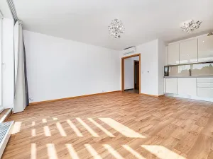 Pronájem bytu 1+kk, Praha - Vinohrady, Italská, 38 m2
