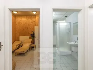 Pronájem bytu 4+kk, Praha - Vokovice, Irská, 153 m2