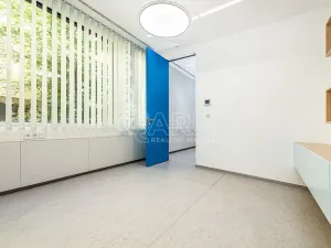 Pronájem obchodního prostoru, Praha - Žižkov, Jeseniova, 240 m2