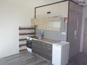 Pronájem bytu 1+1, Chomutov, Písečná, 36 m2