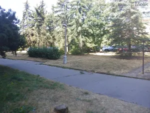 Pronájem bytu 1+1, Chomutov, Písečná, 36 m2