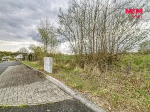 Prodej pozemku pro bydlení, Františkovy Lázně - Žírovice, 3247 m2