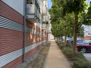 Pronájem bytu 3+kk, Hradec Králové - Nový Hradec Králové, Rybova, 89 m2