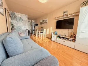 Prodej bytu 2+kk, Praha - Černý Most, Vašátkova, 45 m2