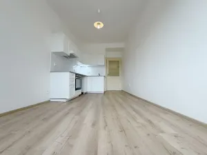Pronájem bytu 3+kk, Praha - Libeň, Sokolovská, 78 m2