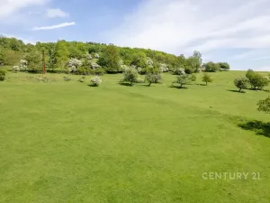 Prodej pozemku, Velká Bukovina, 6600 m2