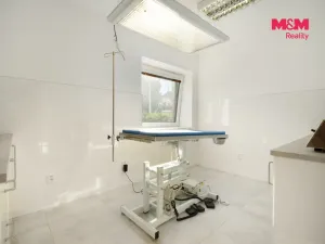 Prodej obchodního prostoru, Lázně Bohdaneč, Škroupova, 202 m2