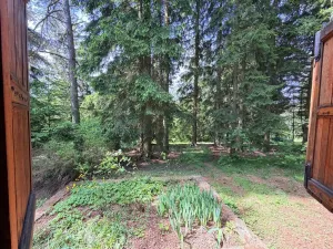 Prodej chaty, Borová, 53 m2