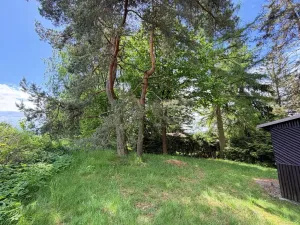 Prodej chaty, Borová, 53 m2