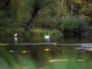 Prodej rodinného domu, Ivančice, 79 m2