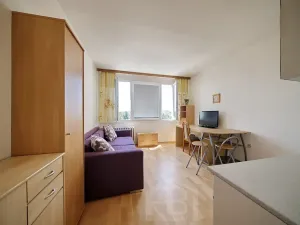 Pronájem bytu 1+kk, Jindřichův Hradec, sídliště U Nádraží, 20 m2