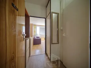 Pronájem bytu 1+kk, Jindřichův Hradec, sídliště U Nádraží, 20 m2