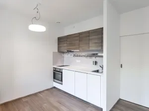 Pronájem bytu 1+kk, Praha - Vinohrady, Lucemburská, 30 m2