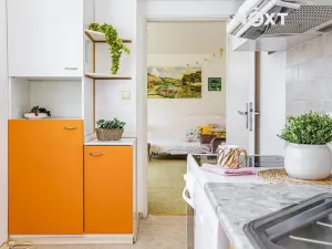Prodej bytu 3+1, České Budějovice, Loucká, 58 m2